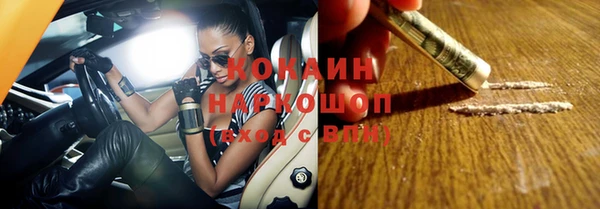 прущие грибы Абаза