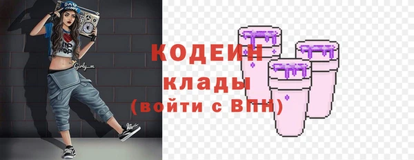 прущие грибы Абаза