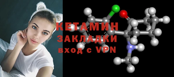 прущие грибы Абаза