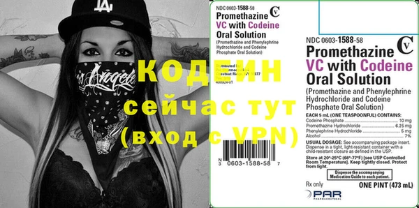 прущие грибы Абаза