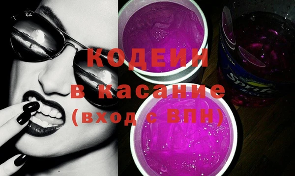 прущие грибы Абаза