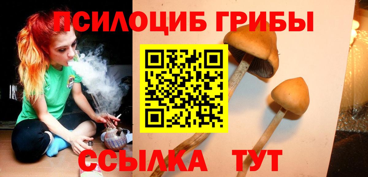 Стрежевой  Псилоцибиновые грибы Magic Shrooms  Вход с VPN 